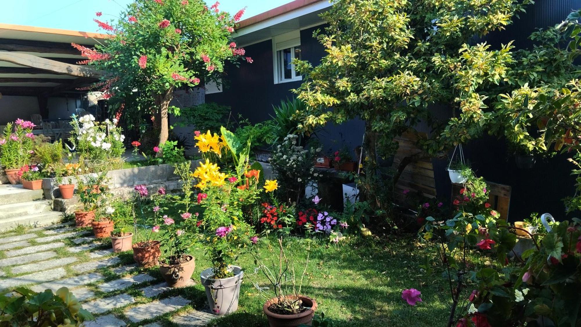 Отель Casa Tito Campo Lameiro Экстерьер фото